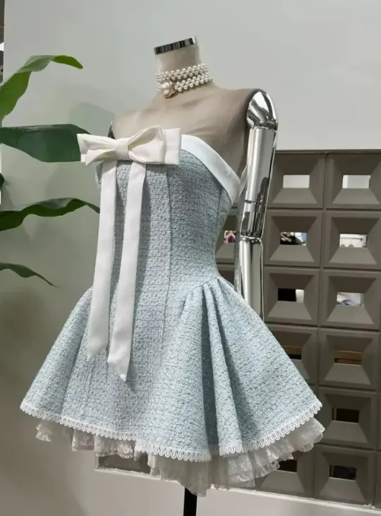 Tweed Cute Women's Homecoming Dress Blue Corset Short Prom Dress Birthday Dress RS2439