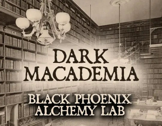 Dark Macademia Perfume Oil