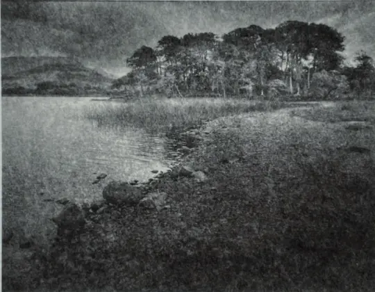 Copse of trees on the eastern shore of Loch Awe, Scotland.