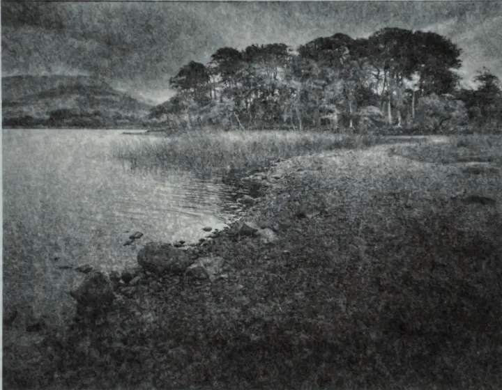Copse of trees on the eastern shore of Loch Awe, Scotland.