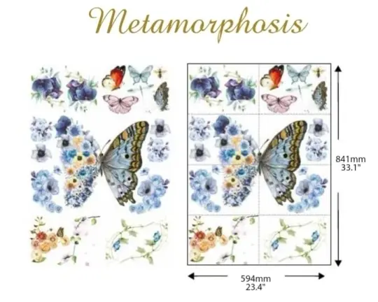A1 Transfer - Metamorphosis