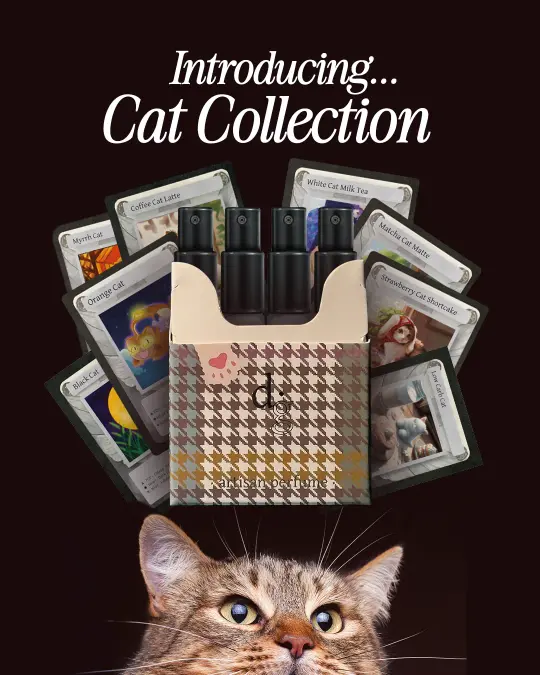 Cat Discovery Set (2ml)