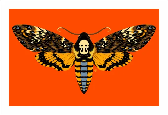 Death's Head Moth Print
