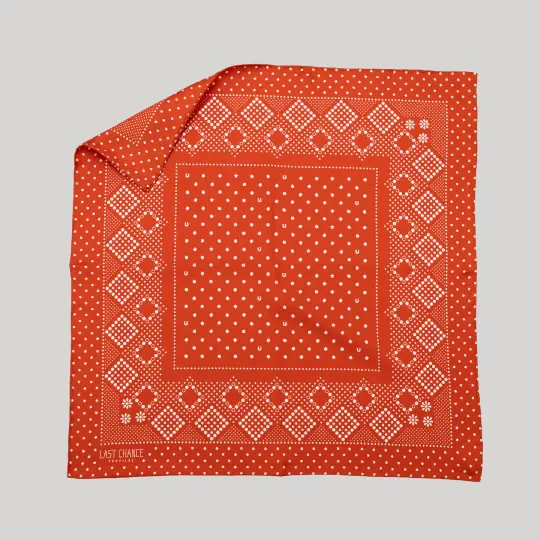 Silk Twill Scarf - Daisy in Chili