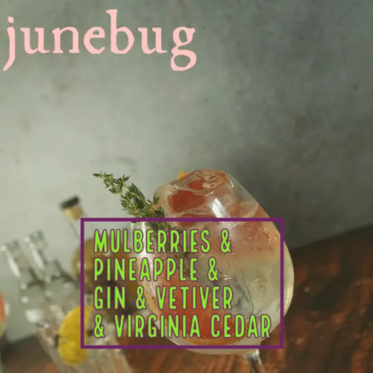 Junebug - Perfume