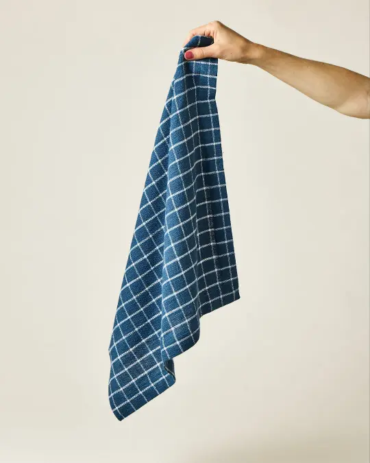 Pantry Cotton Check Kitchen Towels