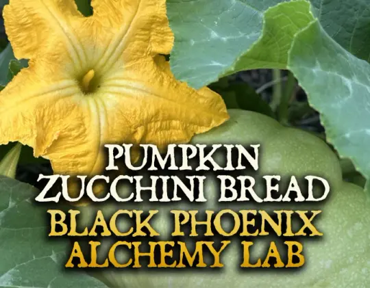 Pumpkin Zucchini Bread Perfume Oil