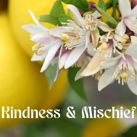 Kindness & Mischief