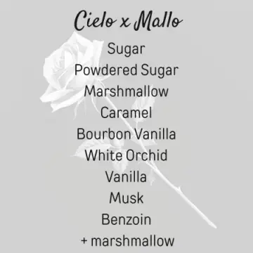 Cielo x Mallo