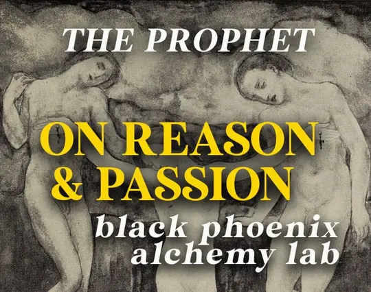 On Reason and Passion Perfume Oil