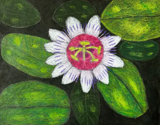Amanda Weaver Artwork 2