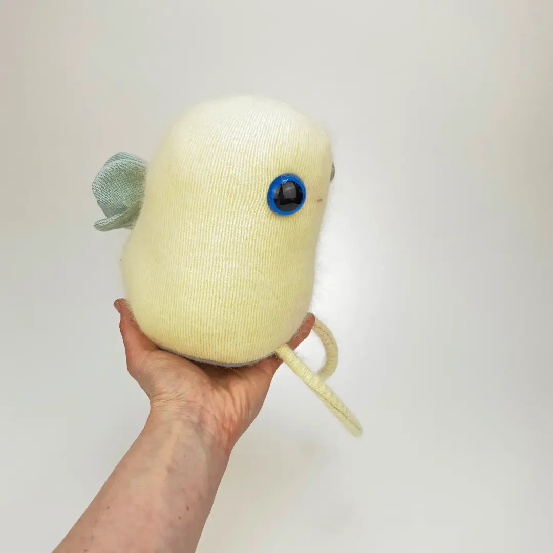 CiCi the cute plush monster with butterfly wings