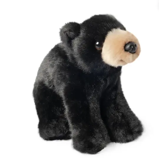 Black Bear Cub