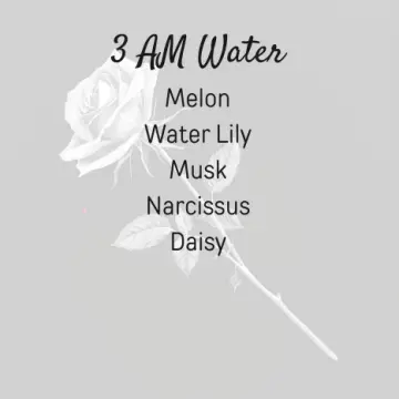 3 AM Water