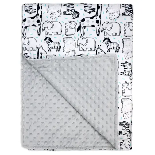 Minky Two Layer Blanket, Zoo