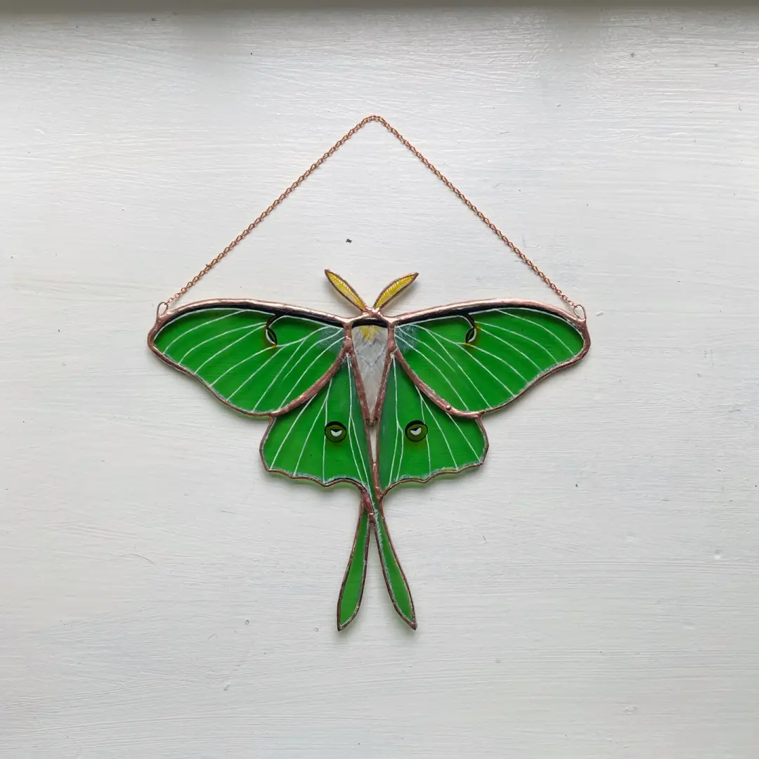 Luna Moth no.6