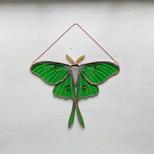 Luna Moth no.6