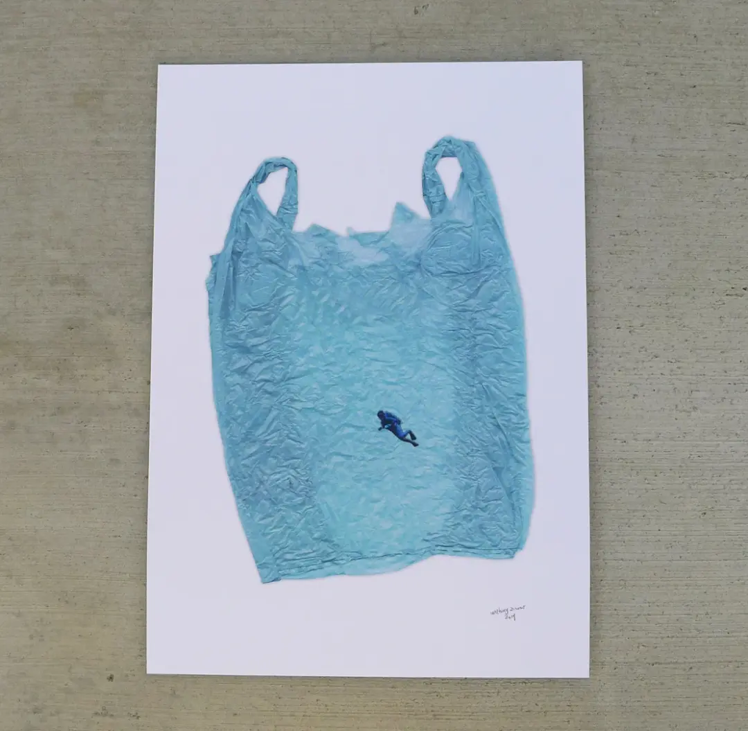 'whereAREtheFISH' print