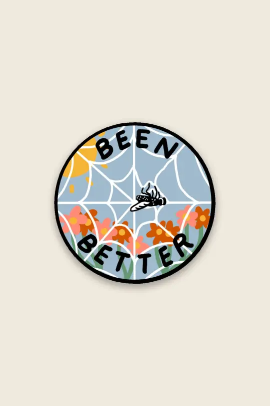 Been Better (Spiderweb) Vinyl Sticker