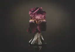 For Strange Women logo