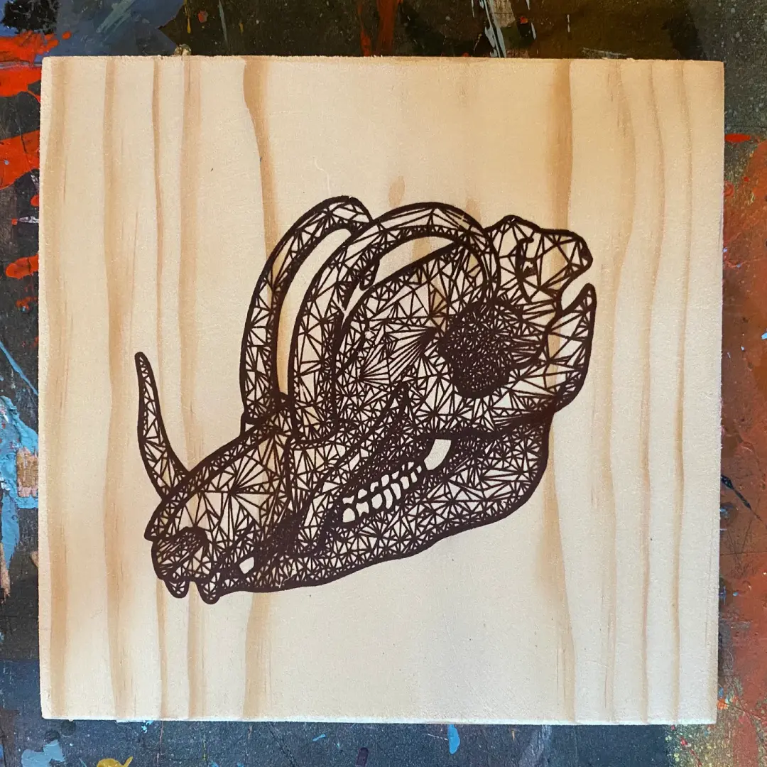 Babirusa