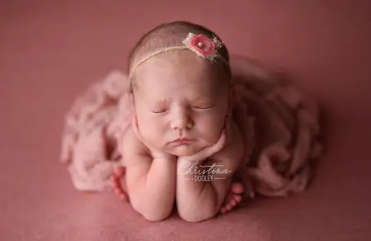 Remi Wool blend Beanbag backdrop in Pink