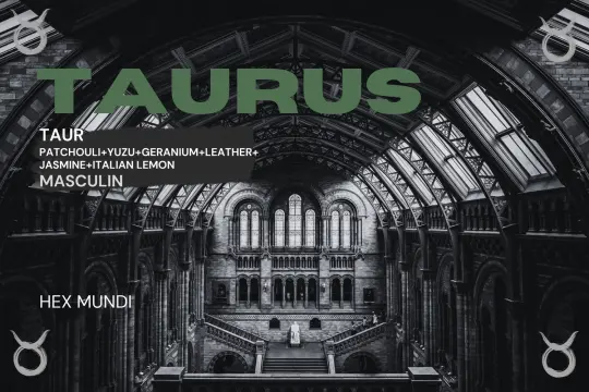Taurus Parfum - Masculin
