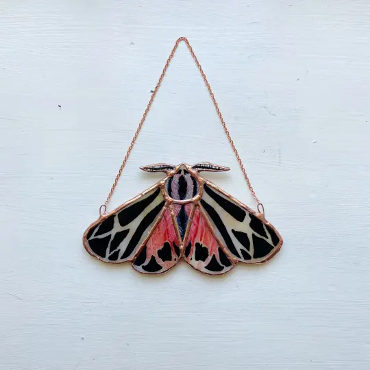 Tiger Moth