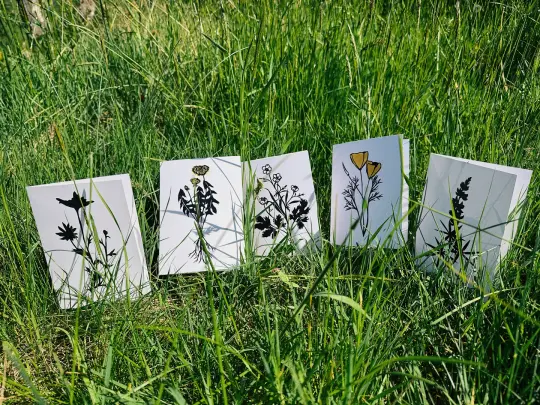 Wildflowers Card Set