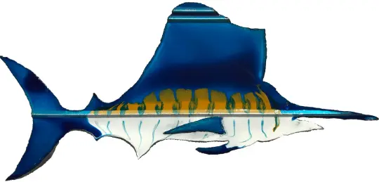 Sailfish