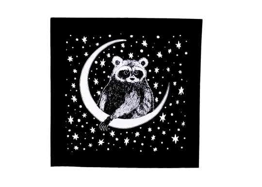 Celestial Raccoon Patch
