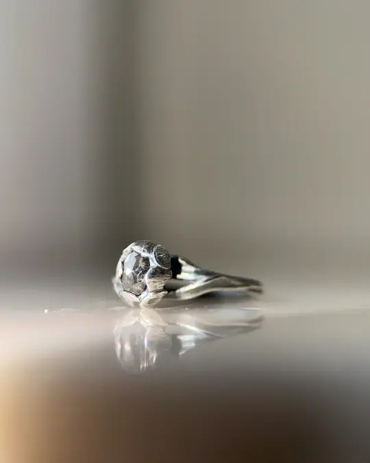 Natasha Pt I // Salt & Pepper Diamond // 6