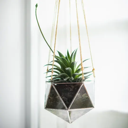 Linea Terrarium Planter