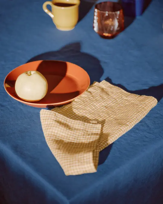 Linen Napkins Set of 2