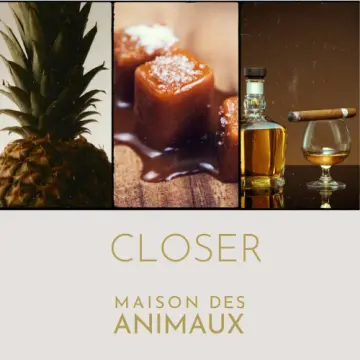 CLOSER