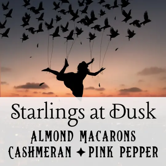 Starlings at Dusk