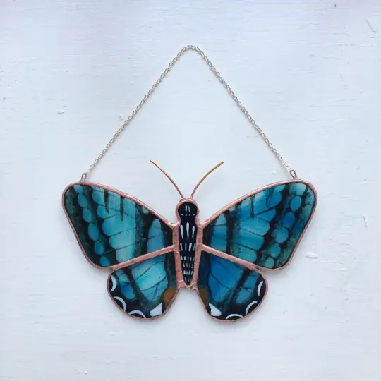 Red-Spotted Purple Butterfly