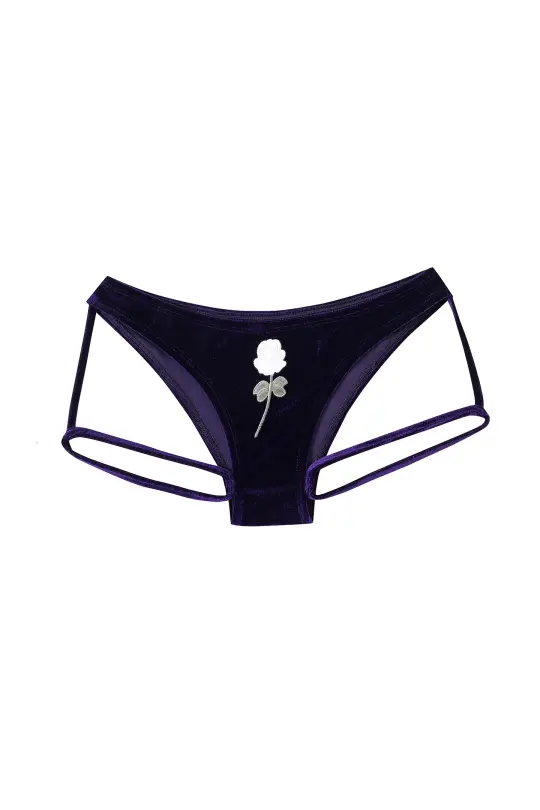 Diana Bear Velvet Rose Low Rise Garter Briefs