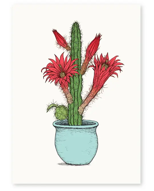 'Cactus Pot' A4 Limited Edition Art Print