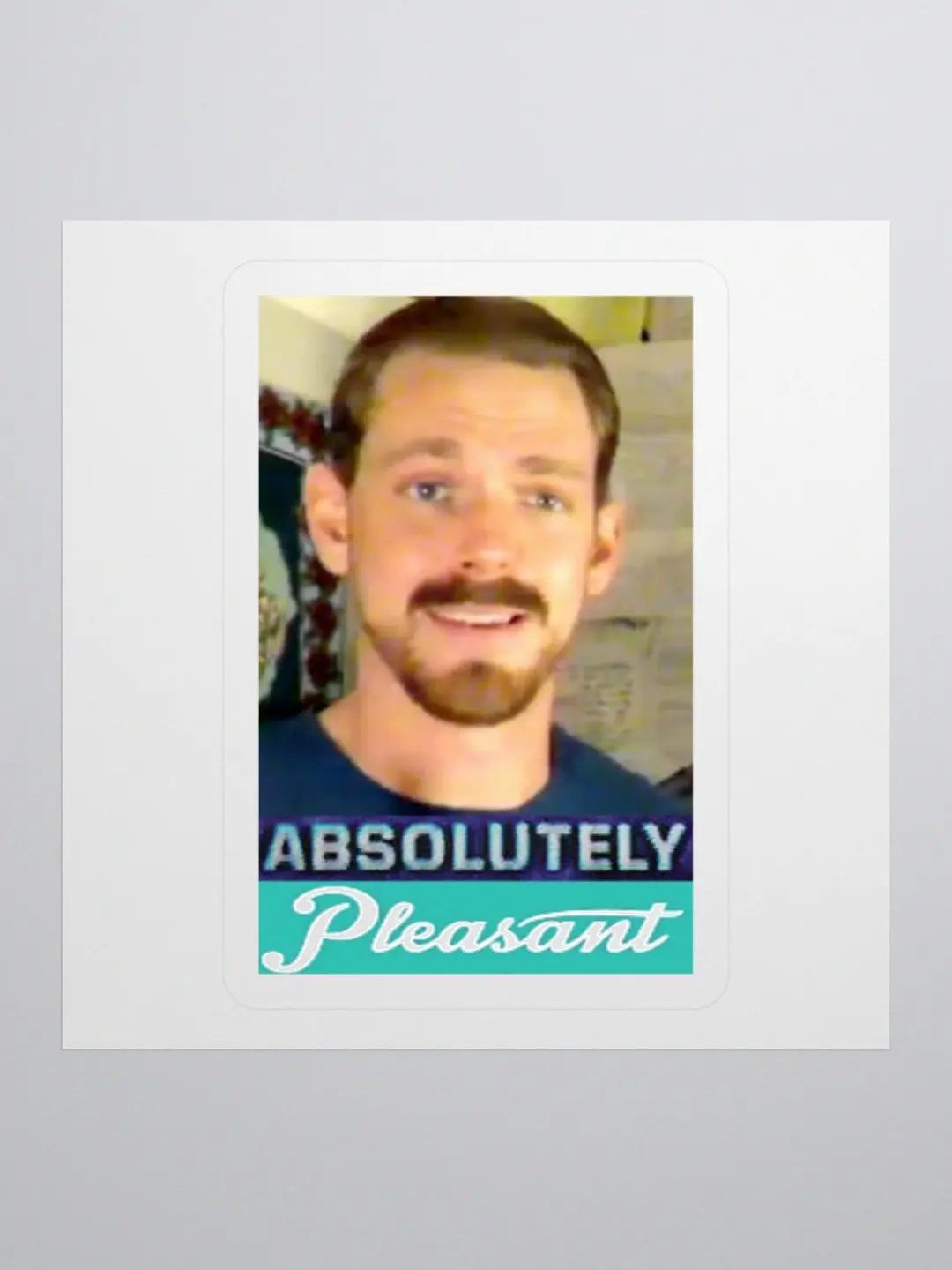 Absolutely Pleasant sticker