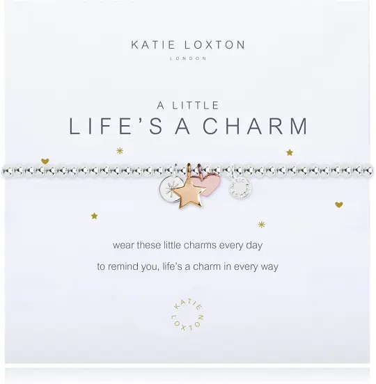 A LITTLE LIFE'S A CHARM BRACELET
