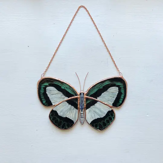 Large Green-Banded Blue Butterfly