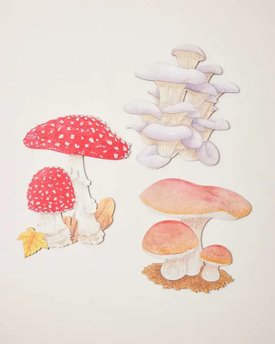 Forager Puzzle
