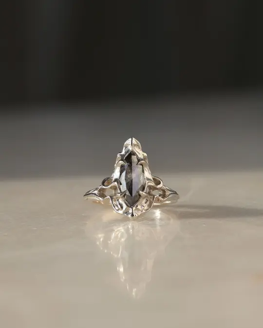 Fouet I // 14kw Gold + Salt & Pepper Diamond