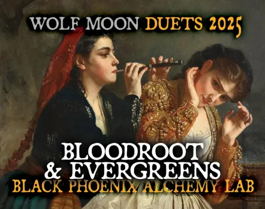 Wolf Moon: Bloodroot &amp; Evergreens Perfume Oil