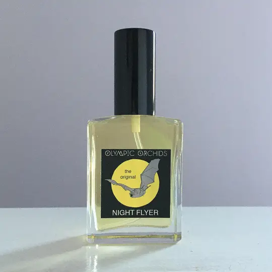 Night Flyer – the original