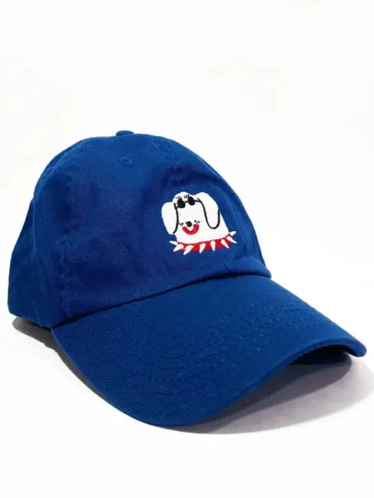 Cool Dog Kids Hat