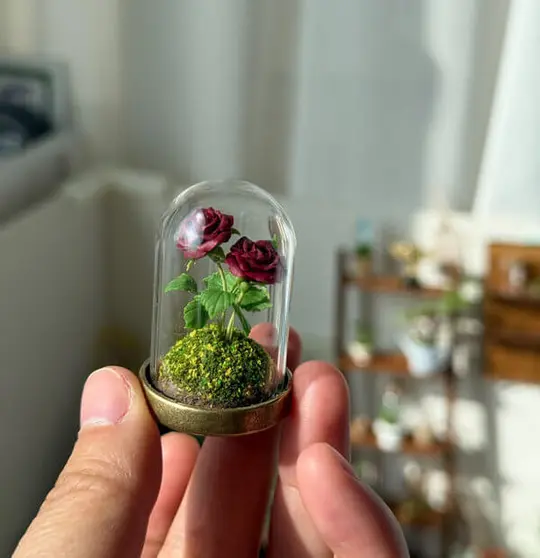 clay rose