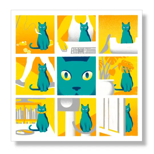 A Cat's Day