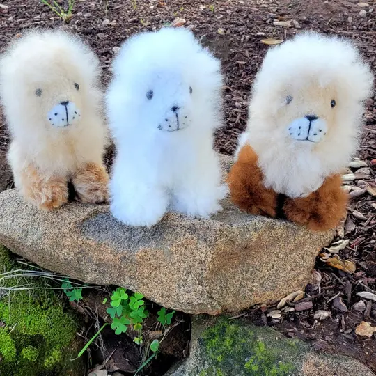 Fur Alpaca Lion